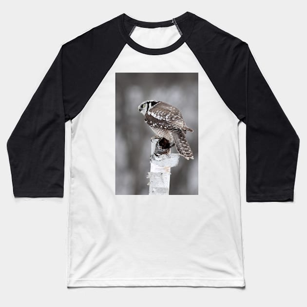 Northern Hawk Owl Baseball T-Shirt by Jim Cumming